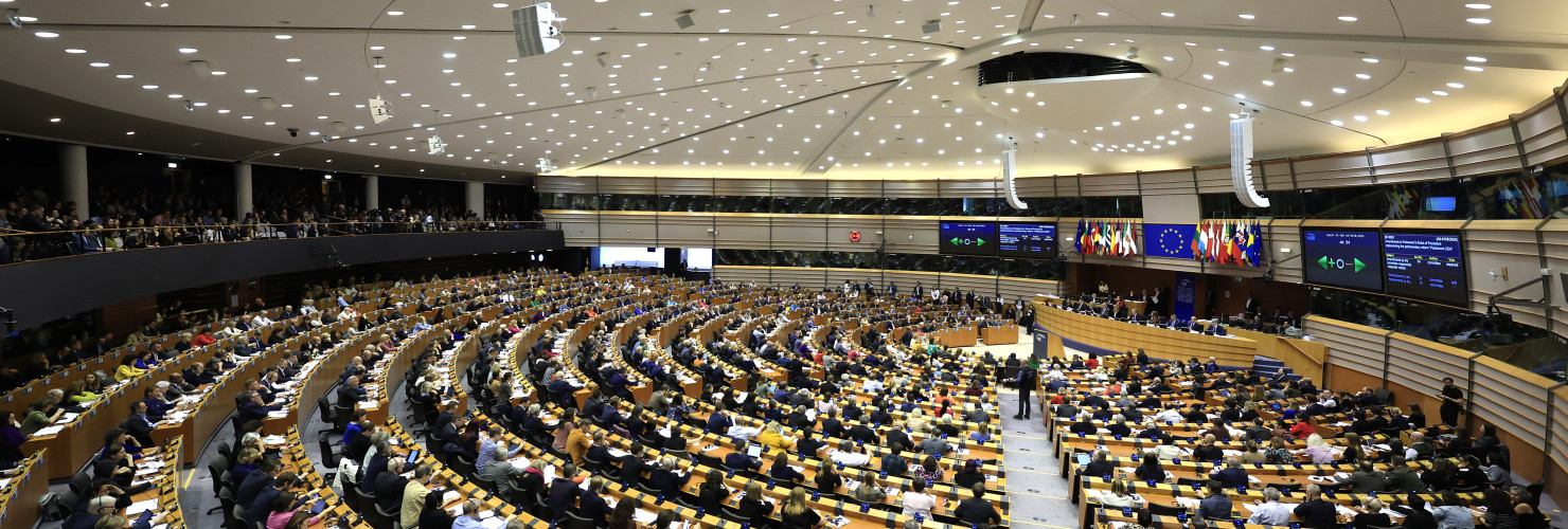 European Parliament vote