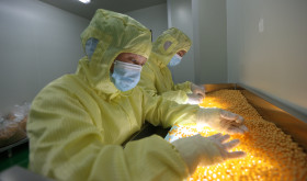 Drug production line at the production workshop of a pharmaceutical company in Meishan city, Sichuan province, China